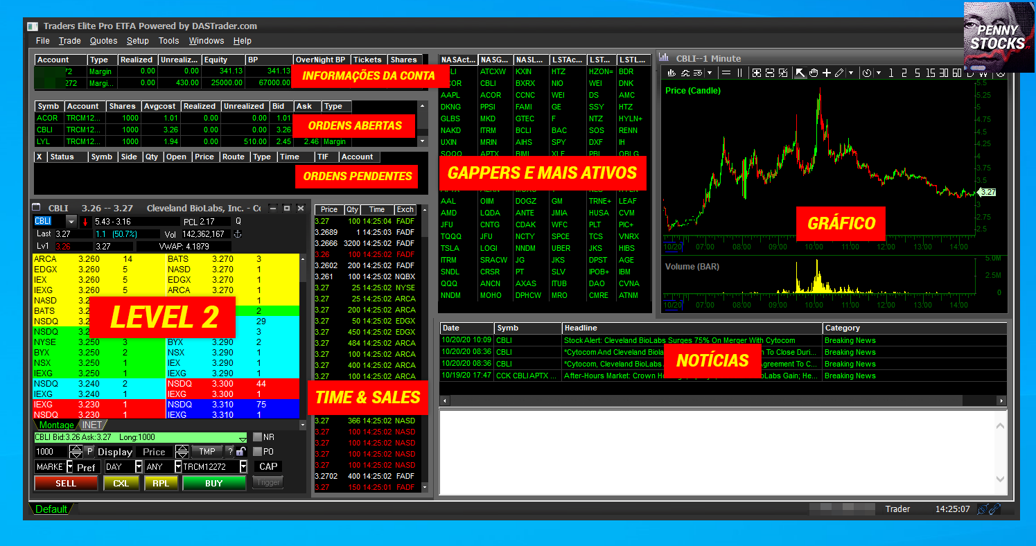 Plataforma Das Trader Pro na corretora CMEG